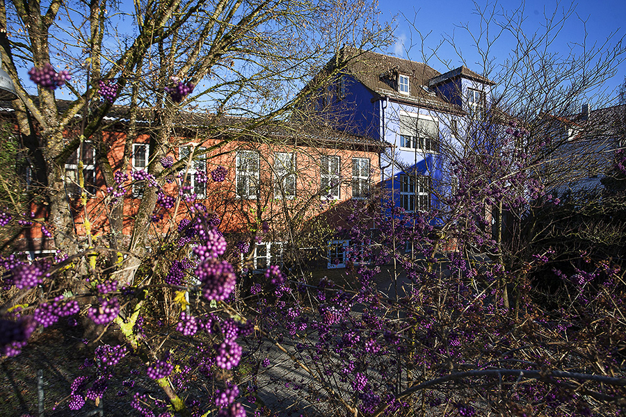 Das Pestalozzihaus an der Wielandstraße, vom Garten der Jugendmusikschule aus gesehen